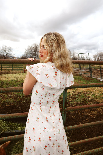 Strawberry Lane Dress