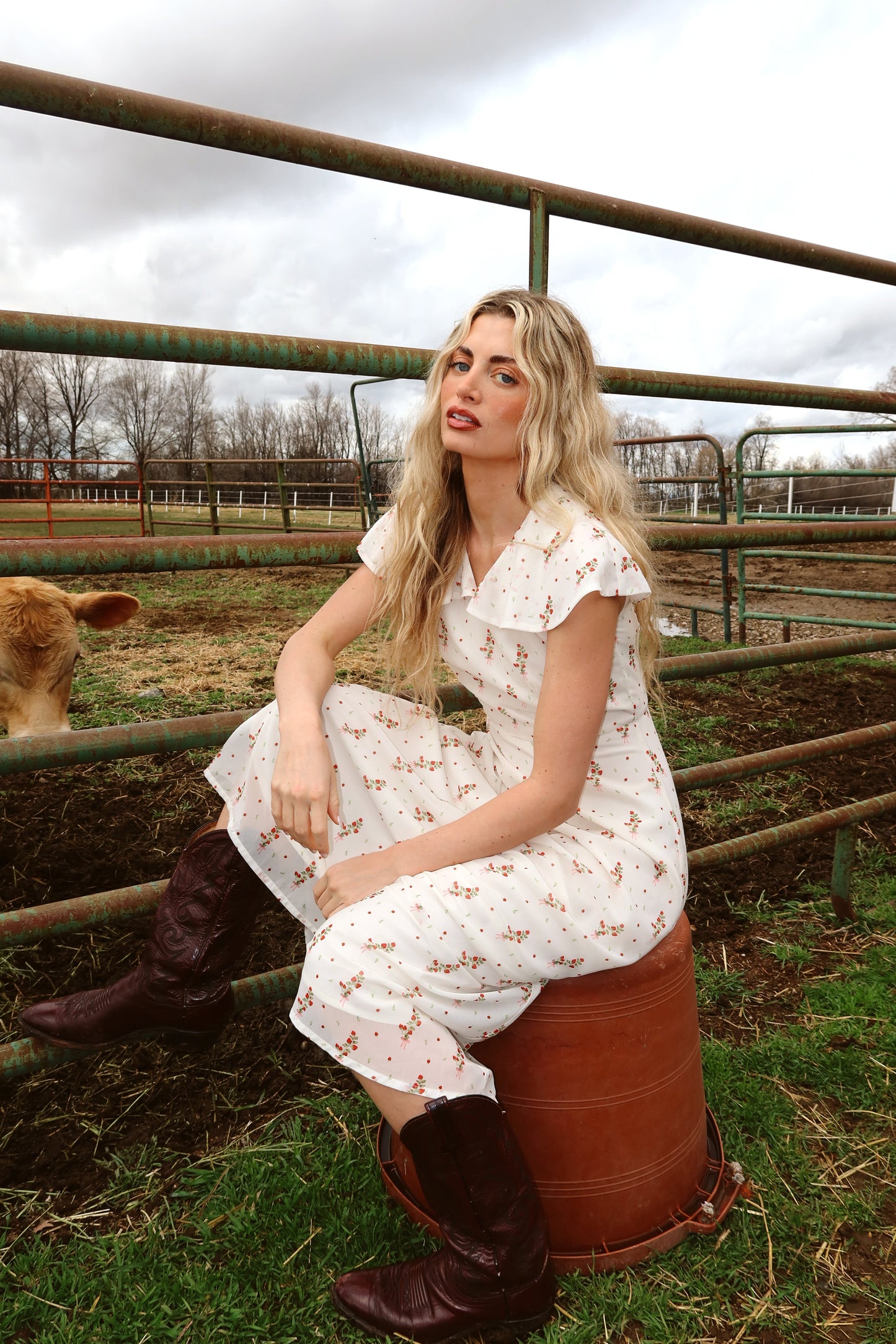 Strawberry Lane Dress