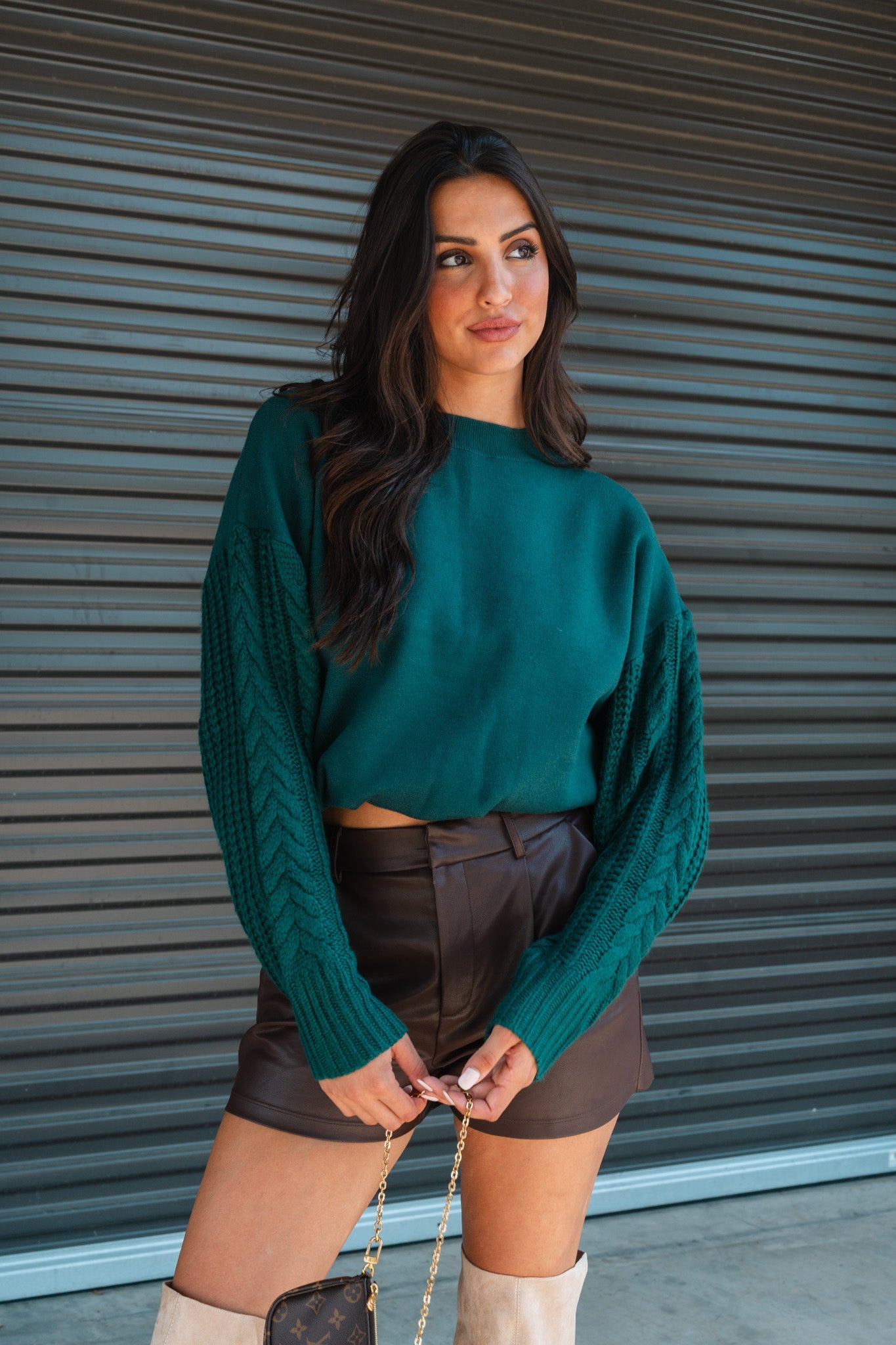 Adele Faux Leather Shorts (Brown) FINAL SALE