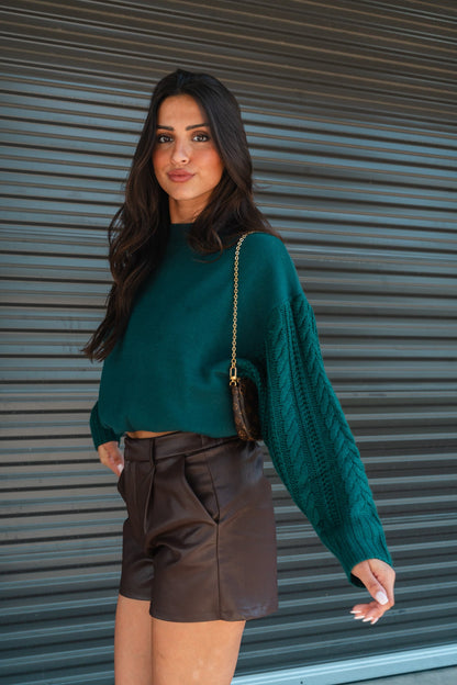 Adele Faux Leather Shorts (Brown) FINAL SALE
