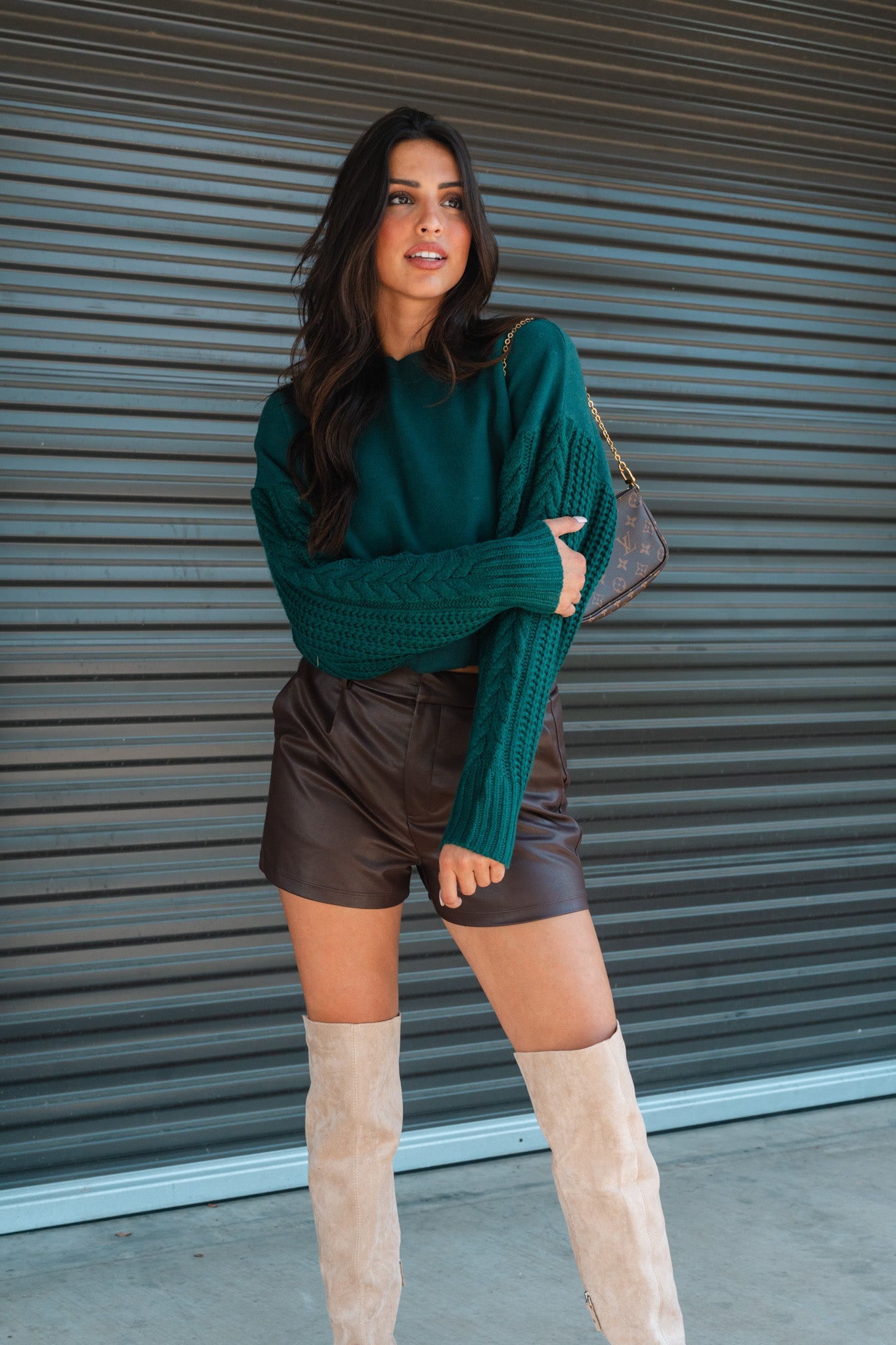 Adele Faux Leather Shorts (Brown) FINAL SALE