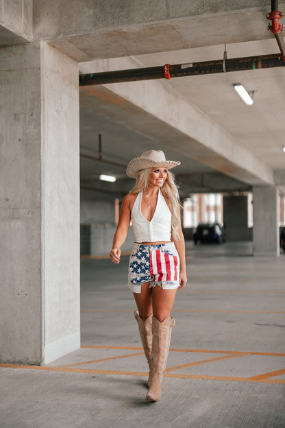 USA Flag High Rise Denim Shorts