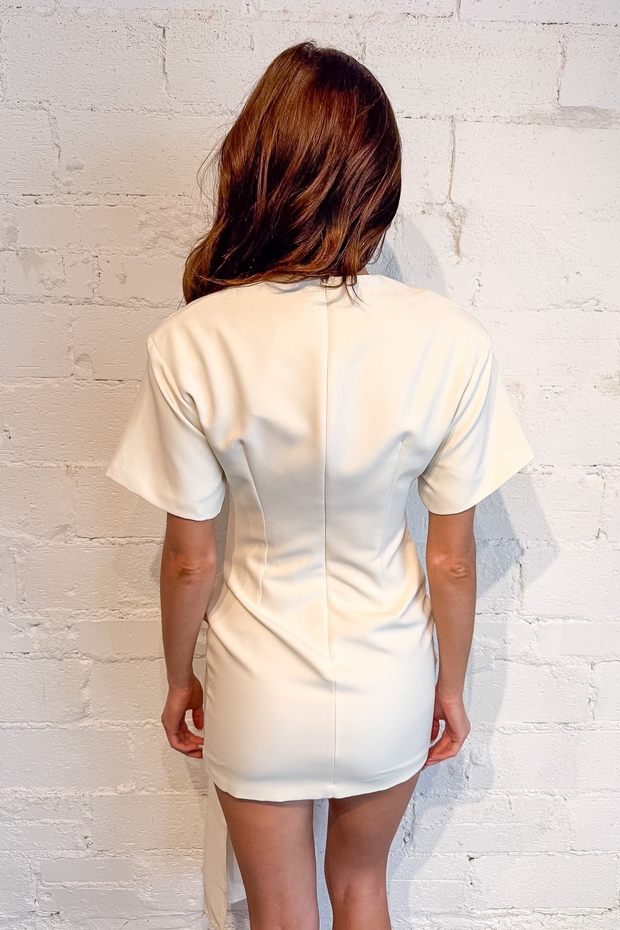 Oh So Chic Mini Dress