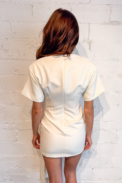 Oh So Chic Mini Dress