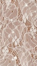 Zebia Sheer Sequin Lace Top - White